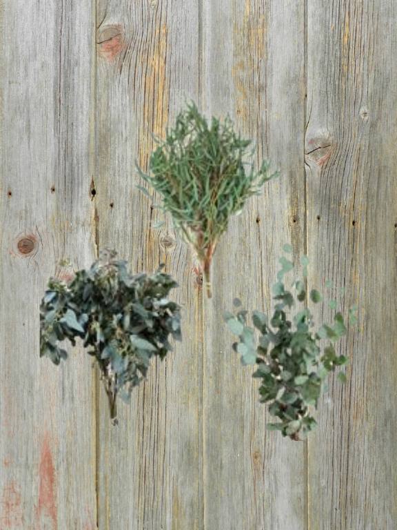 WILLOW, CUPPED AND SILVER DOLLAR ASSORTED EUCALYPTUS